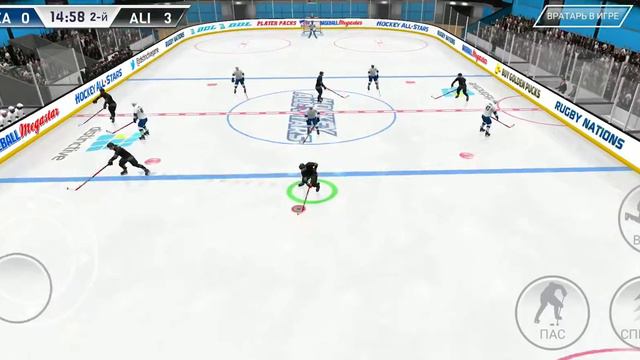 Hockey All Stars (20)