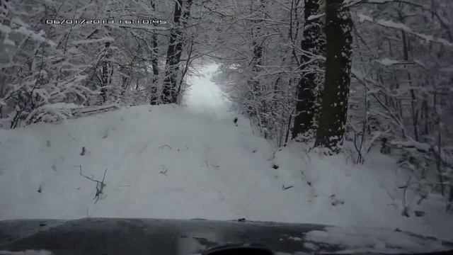 СД. Зимний лес смотреть онлайн