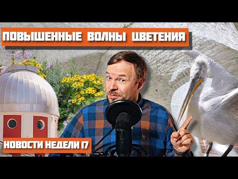 Речная навигация и отключение воды