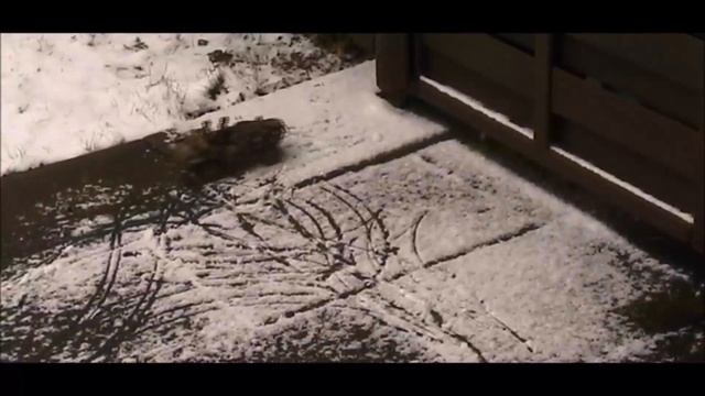 1:16 VW Typ-166 "Schwimmwagen" EDW Wehrmacht im Schnee смотреть онлайн