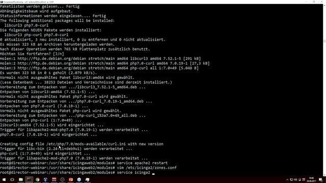 Icinga Director: Installation und Einrichtung (Teil 1) (Webinar vom 28. Juni 2017) смотреть онлайн