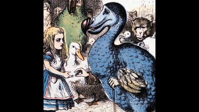 5 things you didn't know about DODO BIRD | Dodo bird смотреть онлайн