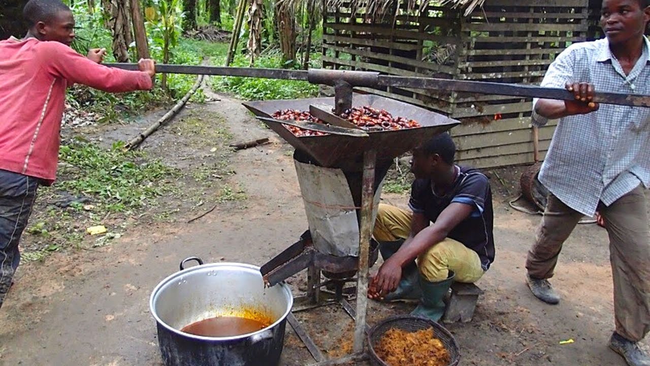 Пальмовое масло/ Palm oil / Почему оно такое дешевое смотреть онлайн