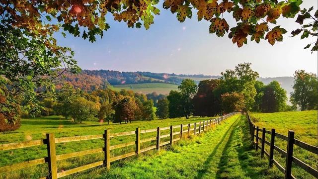 Музыка расслабляет нервную систему, улучшает память ? Сергея Чекалина музыка #89 смотреть онлайн