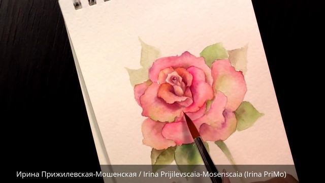 Акварельная роза/Watercolor rose/Aquarelle rose смотреть онлайн