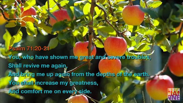 Psalm 71:20-21 You shall revive me again смотреть онлайн