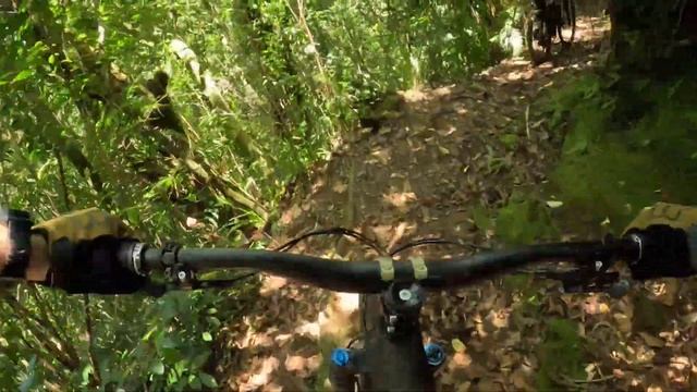 VTT 4C - Descente de l'EDEN Bras Panon - 974 - île intense смотреть онлайн