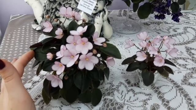 Н-Дюймовочка миниатюра и трейлер. смотреть онлайн