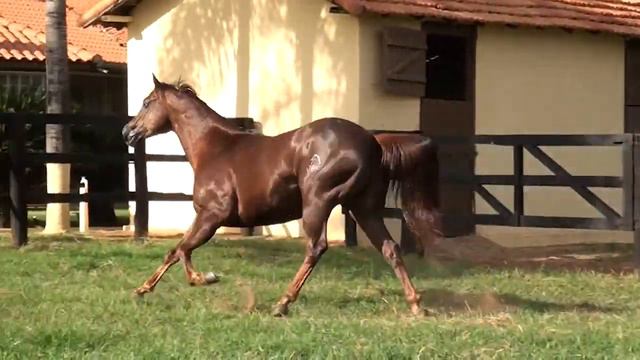 01 CAMILLE ZORRERO смотреть онлайн