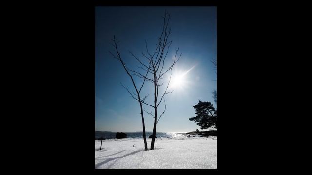 Olympus 9-18mm F/4-5.6 - [GREAT Little Wide-Angle Zoom!]