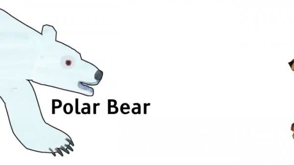 Brown Bear, Polar Bear, Panda Bear and Baby Bear, What Do You See/Hear? 13 Minutes! | Animated Book