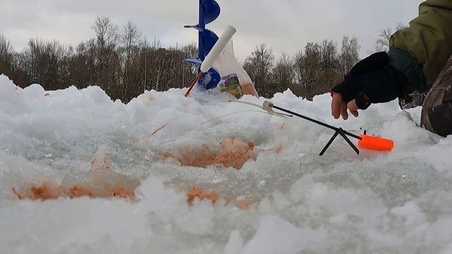 Ловим плотву и окуня на мормышку смотреть онлайн