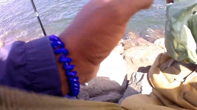 Micro Lure Ultralight Fishing with Berkley Gulp® Sandworms at North Pier Pt. 1 смотреть онлайн