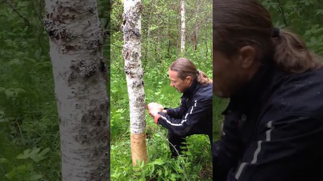 Neverløyping смотреть онлайн