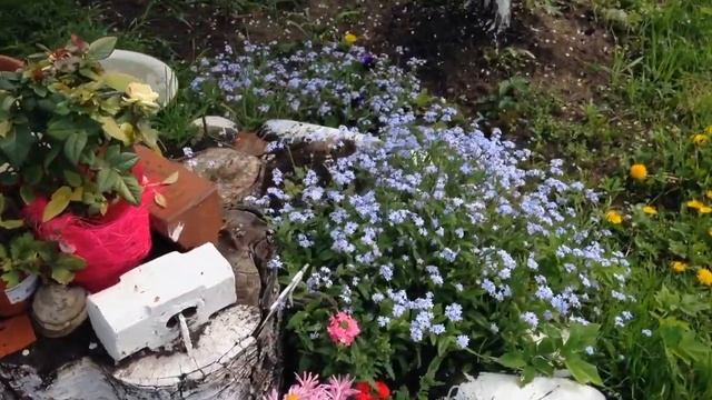 ♛VLOG часть 2 (личный FaceChart, бои без правил, любимый стол=))) смотреть онлайн