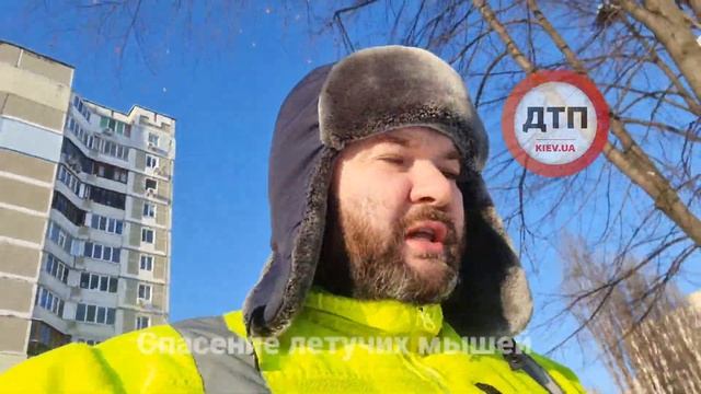 Видео. Спасена семейная пара: редкие животные из красной книги: семья летучих мышей Рыжая Вечерница смотреть онлайн