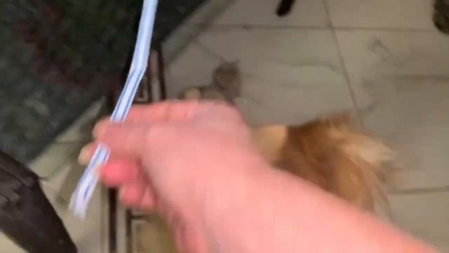 Всем наидобрейшего вечера и чудесных снов. смотреть онлайн