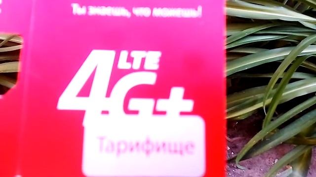 Обман салона МТС, лохотрон от МТС смотреть онлайн