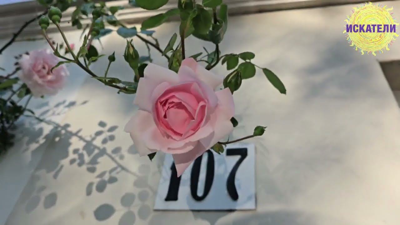 "Путь Сердца" из книги "Язык Души"