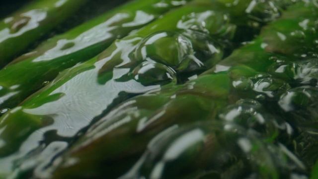 ASKO CELSIUS STORY RU смотреть онлайн