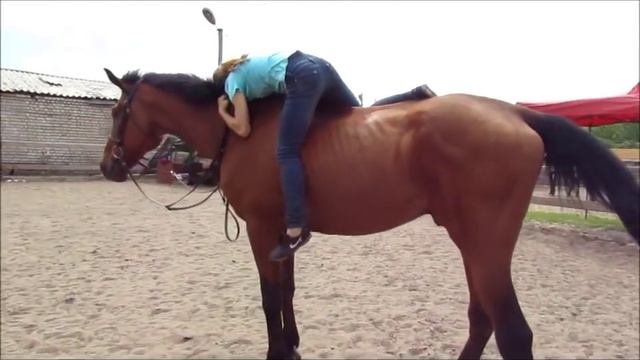 Vine //HORSES VERSION// Когда смог залезть на лошадь без седла