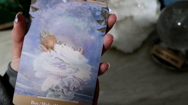The Pregnancy Oracle Cards ?? Deck Review | Unboxing | First Impressions | Flip Through | Card Pull смотреть онлайн