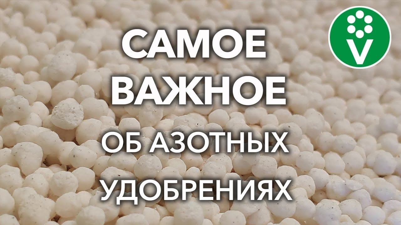 КАКИЕ АЗОТНЫЕ УДОБРЕНИЯ ВНОСИТЬ ВЕСНОЙ, А КАКИЕ ТОЛЬКО ЛЕТОМ? Виды удобрений, правила внесения смотреть онлайн