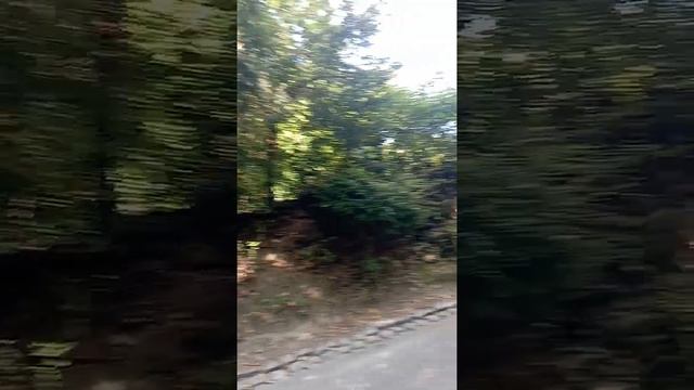 Бонн, Драхенбург замок, вулиця Гайдамацька, майже. смотреть онлайн