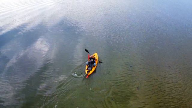 My DJI Mini 2 Flew With A Bird While Filming A Kayak Fishing Trip!