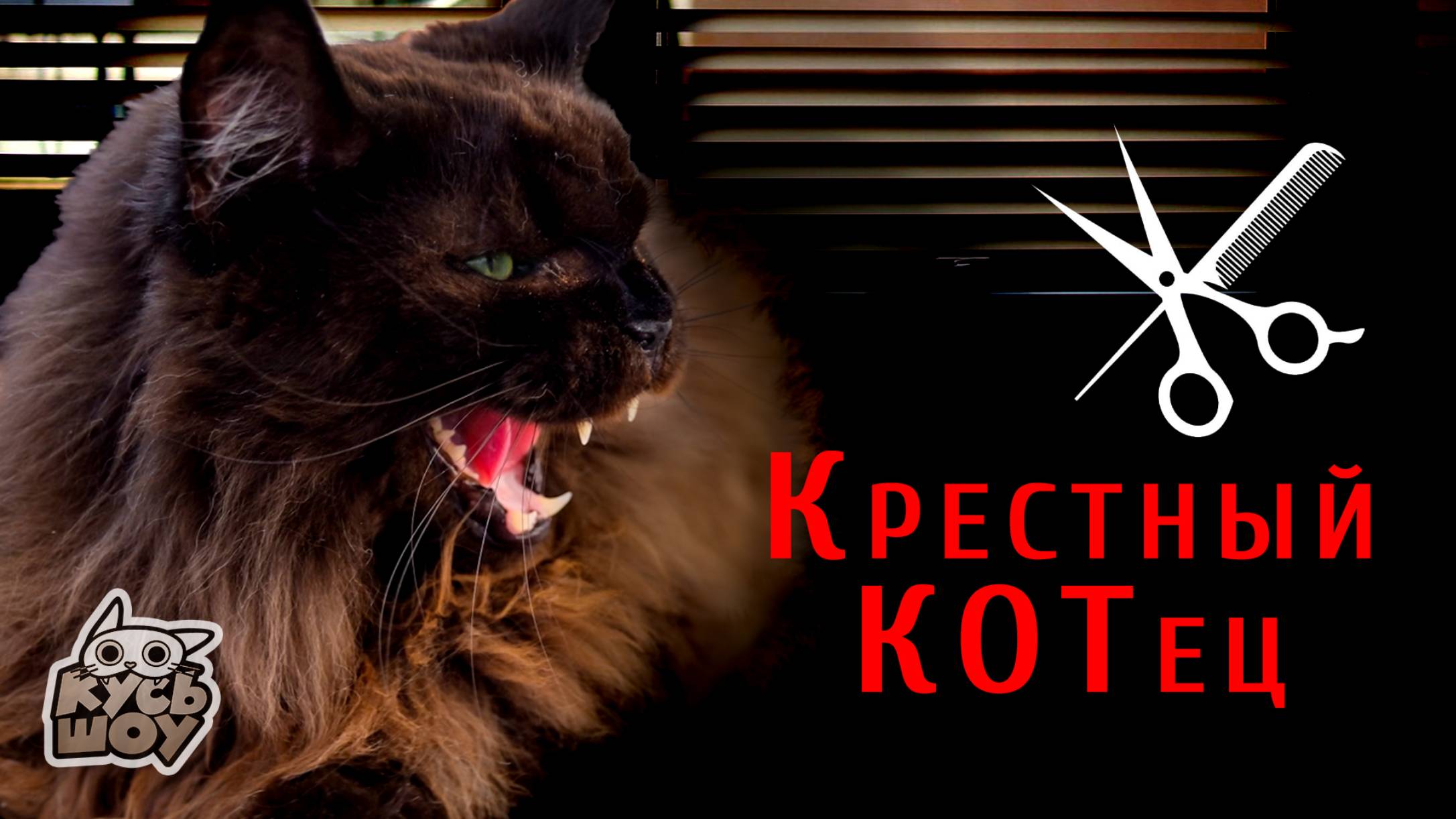 Крестный Котец - Кусь-шоу - Бьюти - рубрика