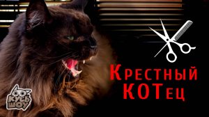 Крестный Котец - Кусь-шоу - Бьюти - рубрика