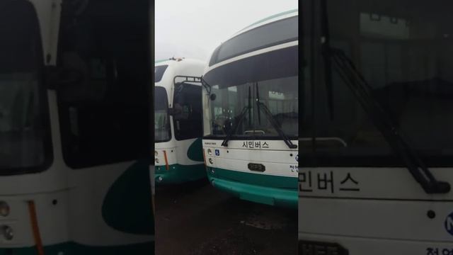 Новые автобусы в Хабаровске смотреть онлайн