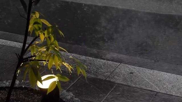 Leica X Vario Video A Hard Rain