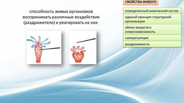 Свойства живого смотреть онлайн