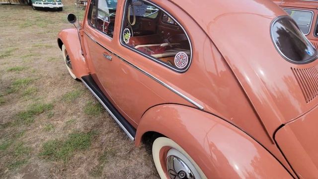 VW Classic car show Deer Park Winery Escondido Ca 2023 Familien fest смотреть онлайн