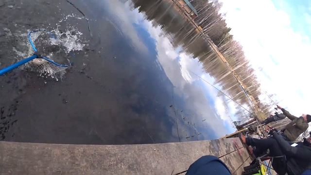 Весенний спиннинг Дикий Карп 2020 смотреть онлайн