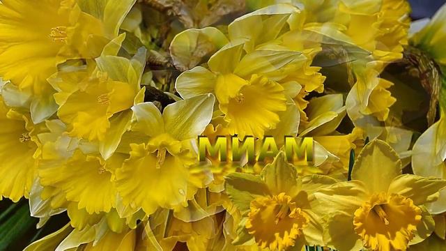 Поздравление МИАМ с 7-летием! смотреть онлайн