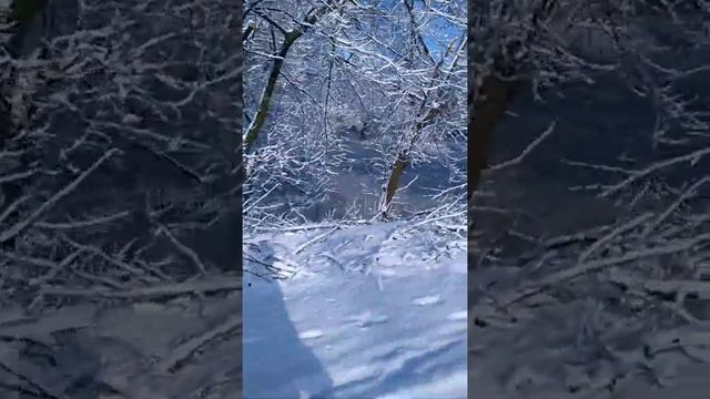 Зима в Раевке смотреть онлайн