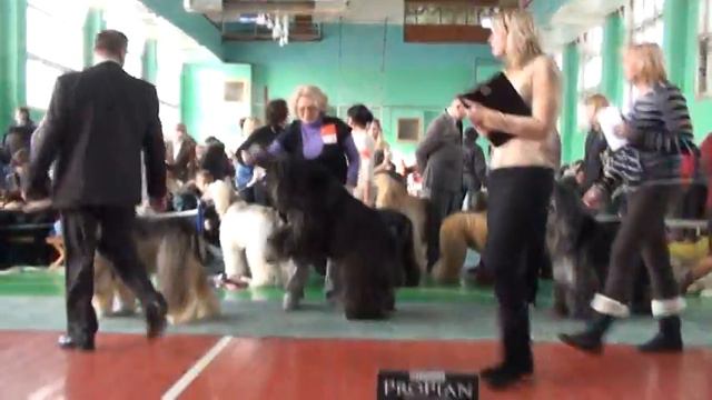 Моно афганов. Суки. Часть 1 смотреть онлайн