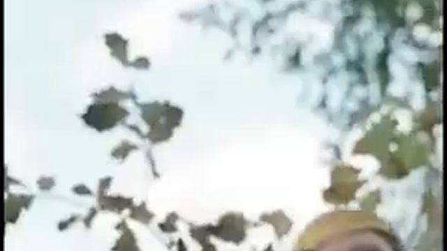 Пёс-барбос и необычный кросс.В обратной перемотке. Смешное видео. смотреть онлайн