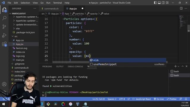 Using TSParticles in React to Add Snow to Your App смотреть онлайн