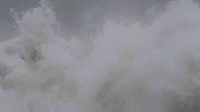 Хоста Часть 2. Бархатный сезон 2014. смотреть онлайн