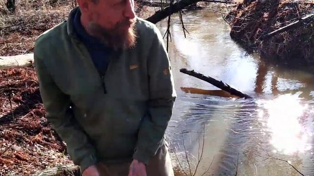 Гость из ОМСКА смотреть онлайн