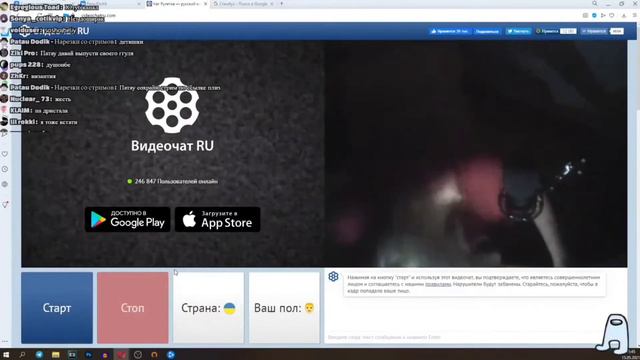 Провёл Социальный Эксперимент (Момент со Стрима Patau Dodik) смотреть онлайн