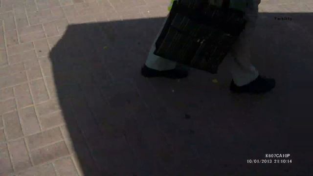 ручной скворец смотреть онлайн