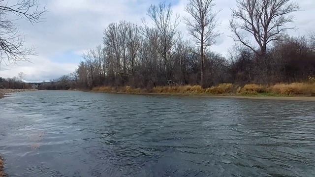 @SiberianSolntsepek Ты неси меня река... #Красноярский край. смотреть онлайн