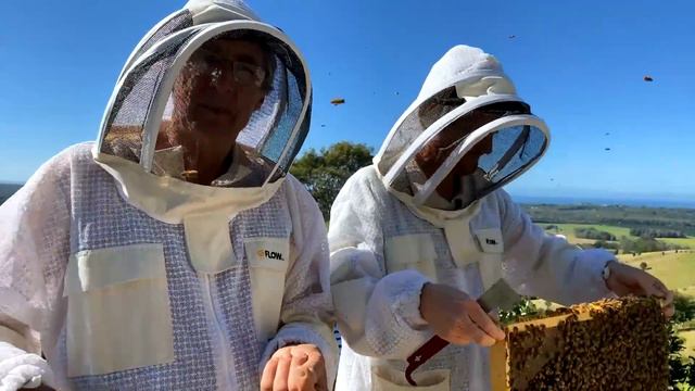 Brood Inspection with Stu, Cedar & Mira смотреть онлайн