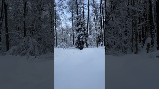 Сила природы! Красота! С Наступающим! смотреть онлайн