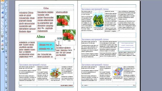 Ms.Publisher 2007 - Information Bulletin