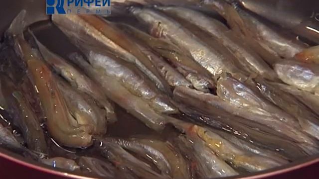 Что Есть   Как бы шпроты